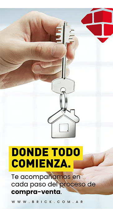 Contenido social de Brick 6
